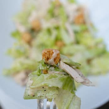 Food detail served at Horse & Wig Holborn